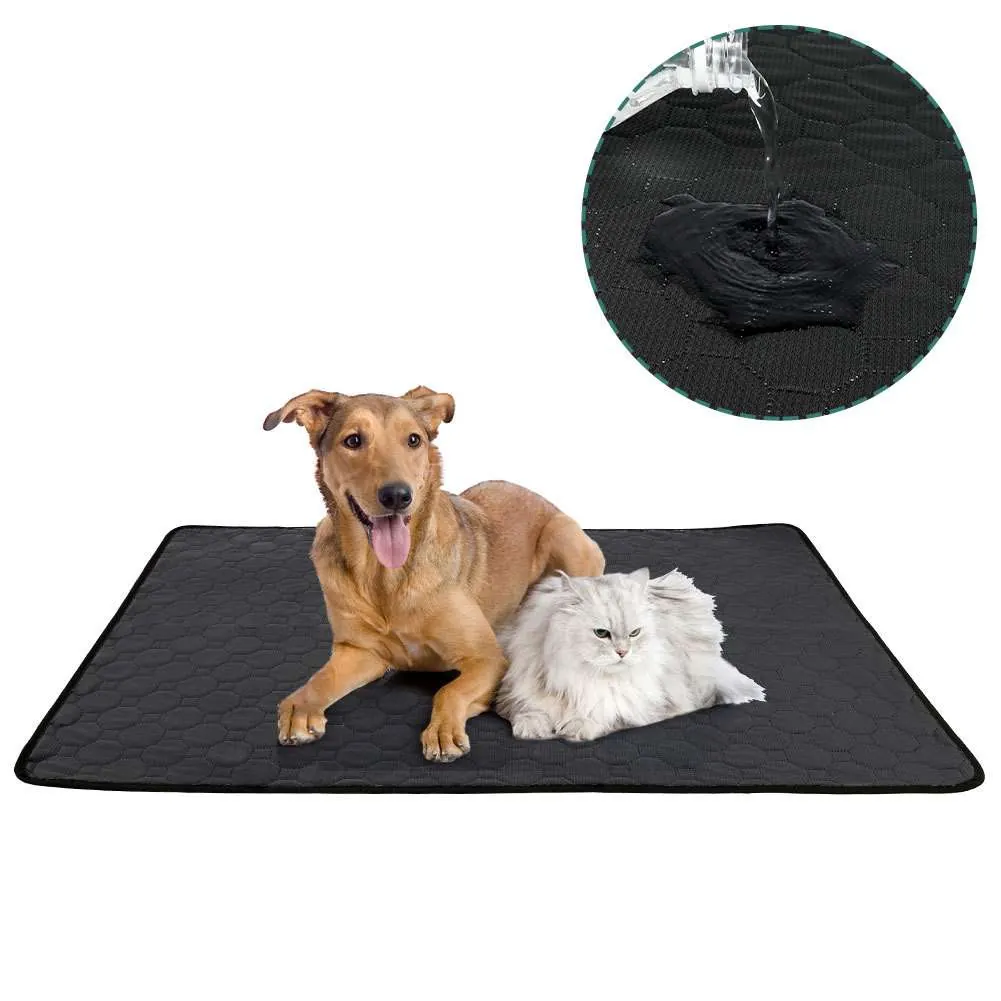 Absorbent Pet Cushion Manufacturer Factory