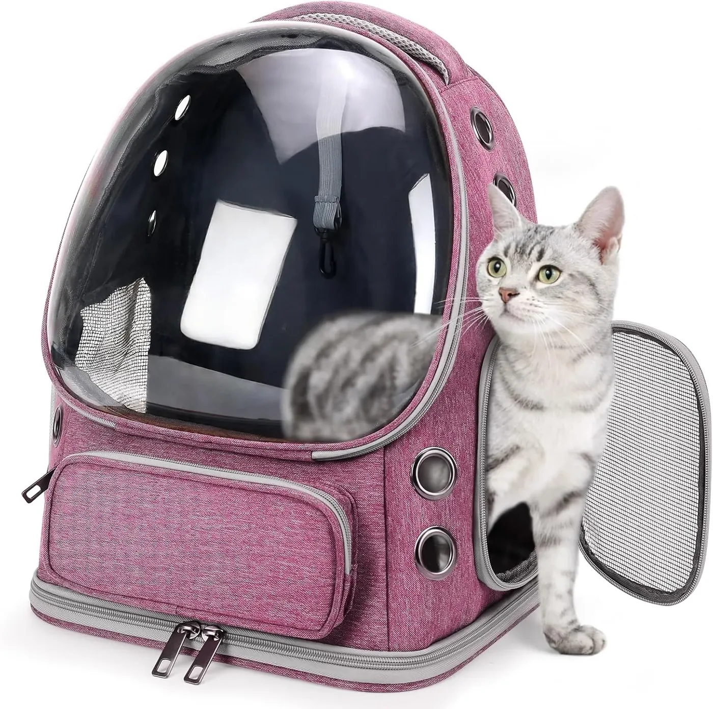 Custom Cat Backpack Factory thumbnail 5