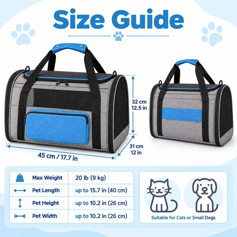 custom cat carrier