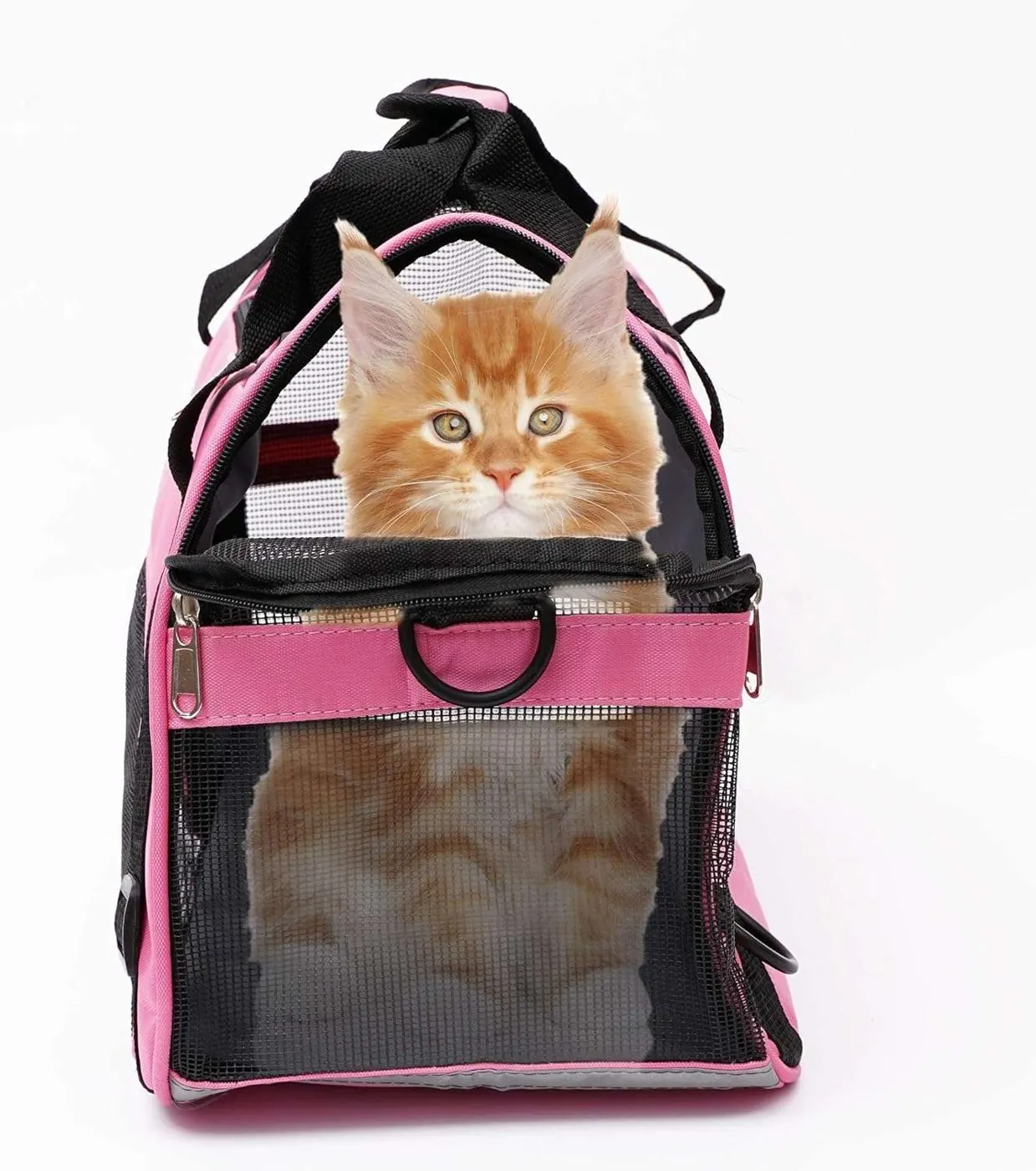 Custom Cat Carrier Supplier thumbnail 4