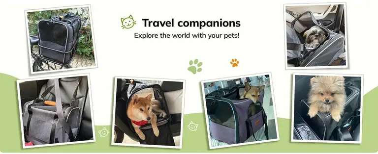 Custom Cat Carrier Manufacturer Factory