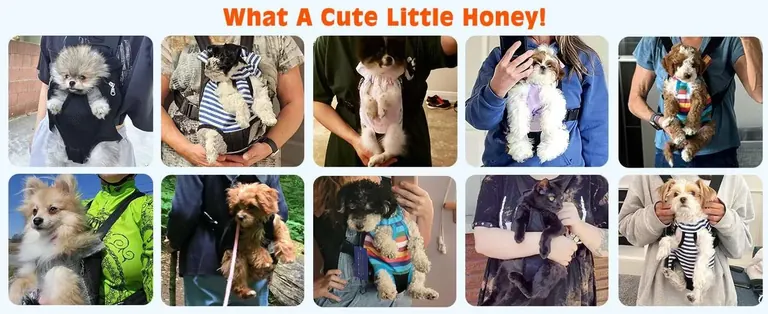 Custom Pet Carrier Backpack Manufacturer