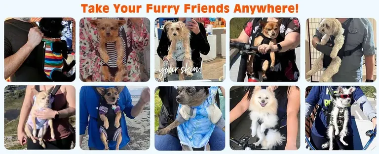 Custom Pet Carrier Backpack Manufacturer