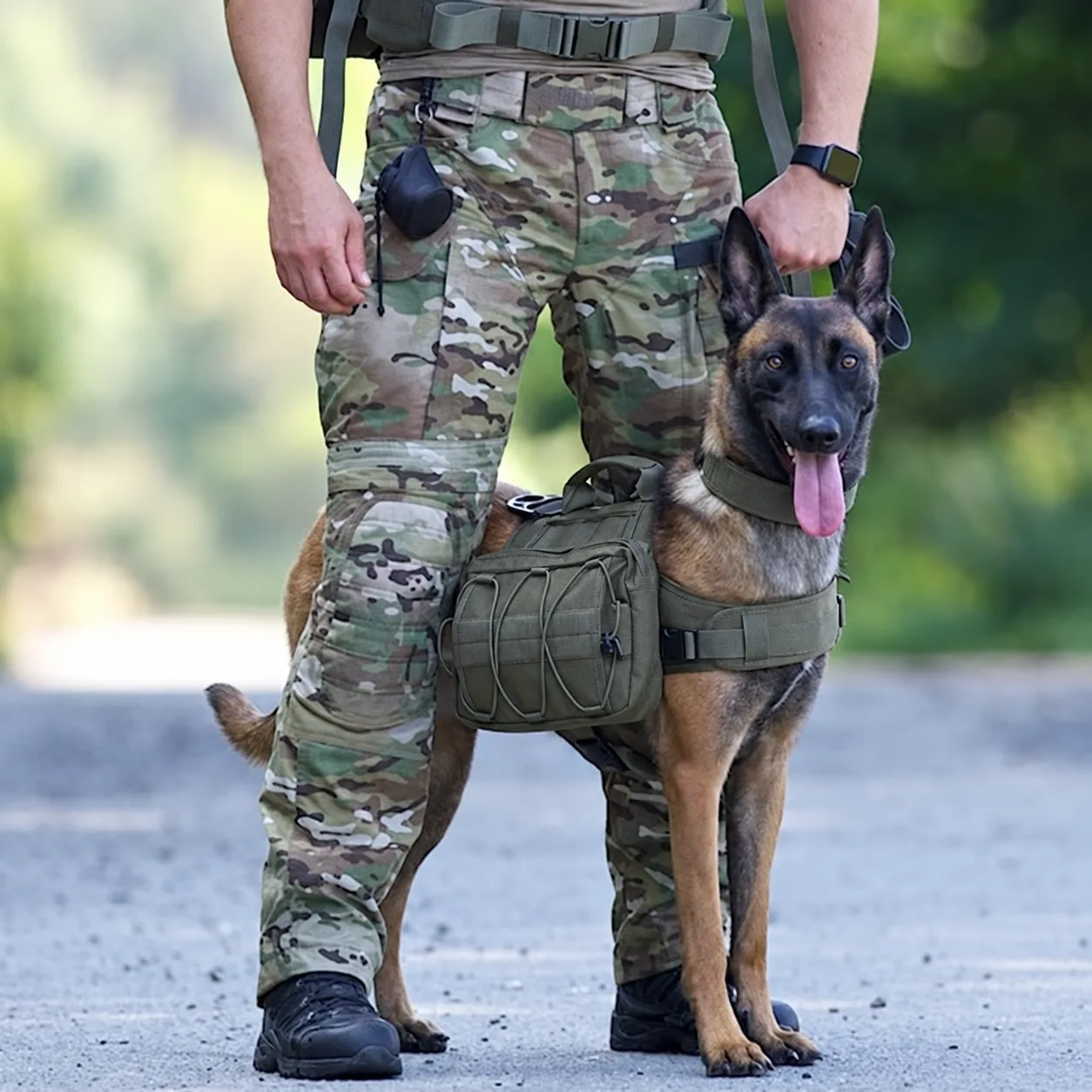 dog saddle pack manufacturer thumbnail 4
