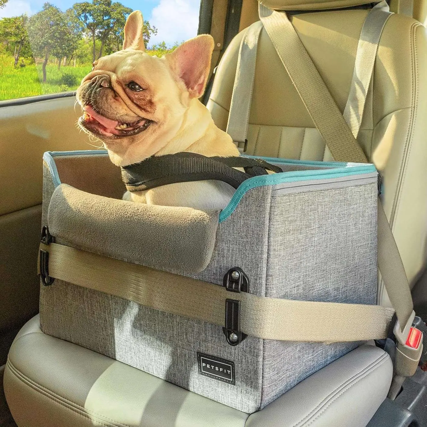 Custom Dog Car Seats Supplier