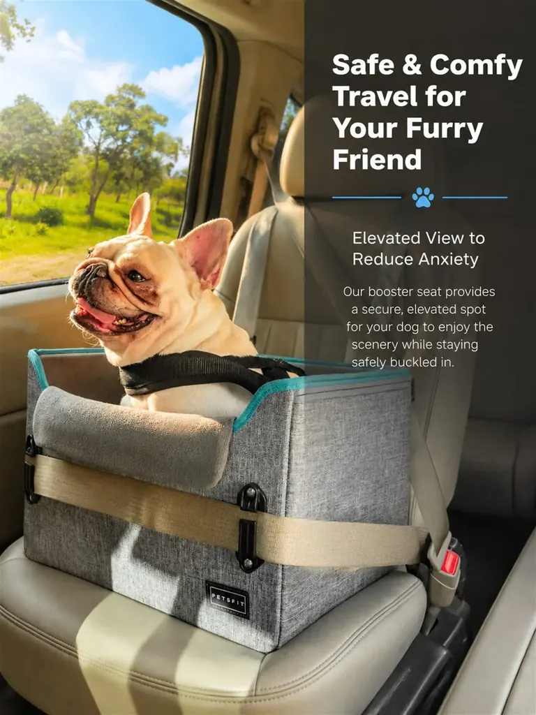 Custom Dog Car Seats Supplier