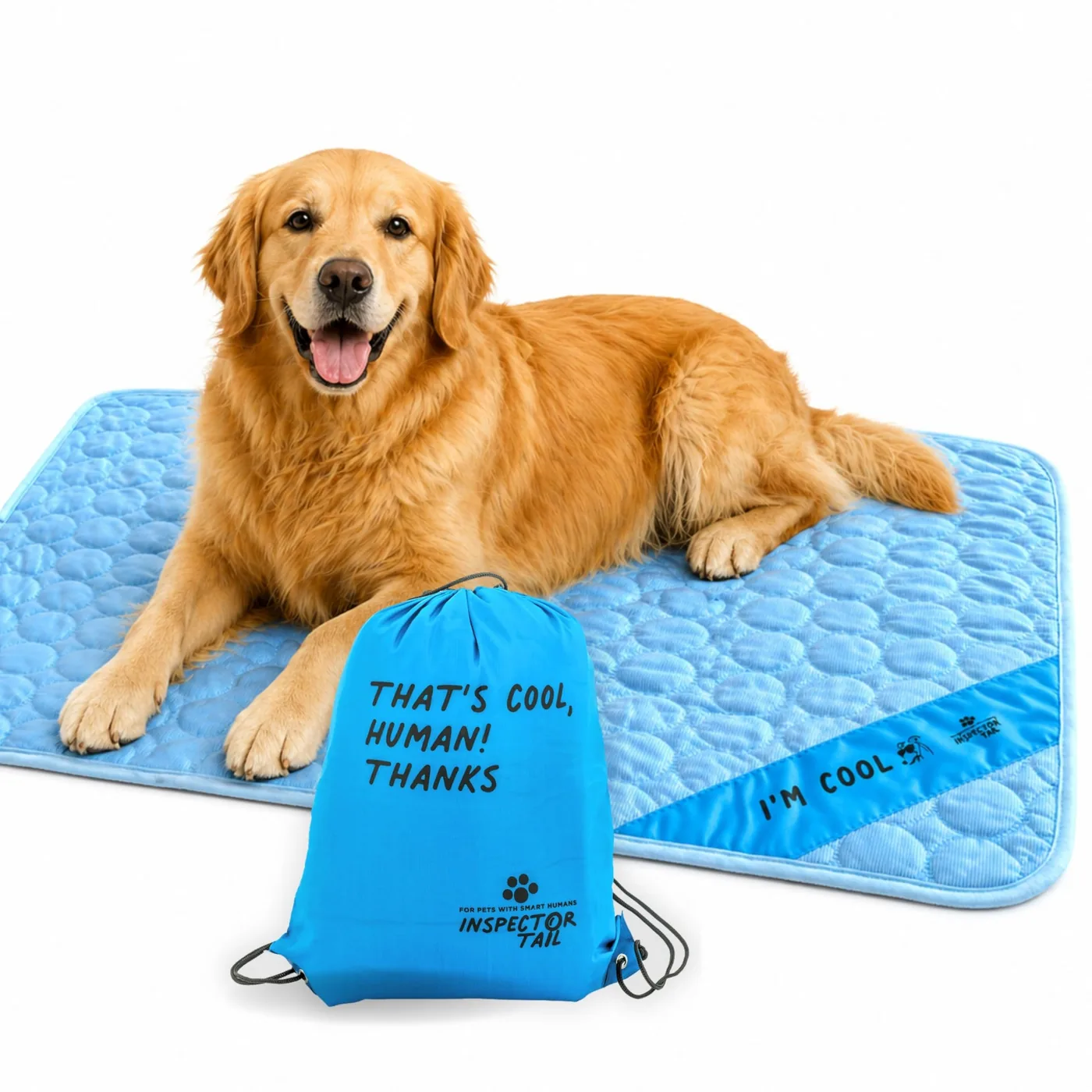 portable pet travel bed manufacturer