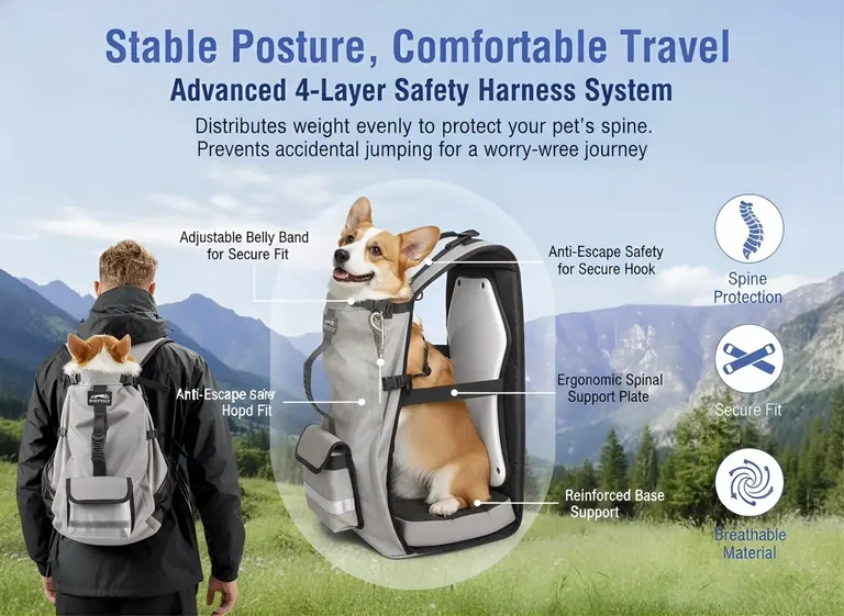 Custom Dog Hiking Backpack Factory