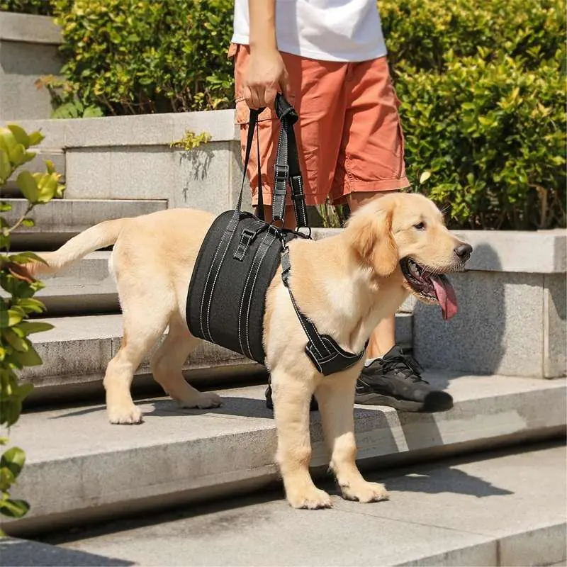 Custom Dog Lift Harness Sling Factory thumbnail 2