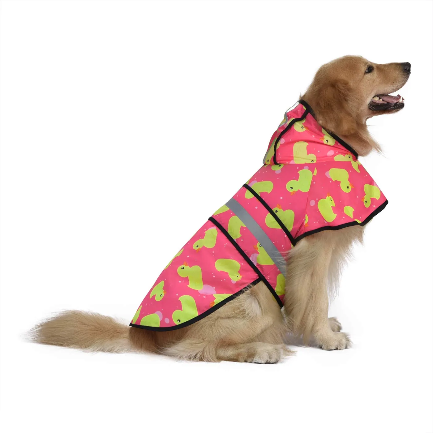 dog raincoat clothing manufacturer