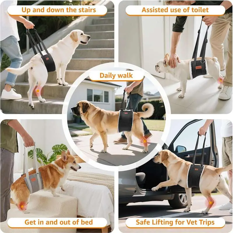Custom Dog Sling For Back Legs Supplier thumbnail 2