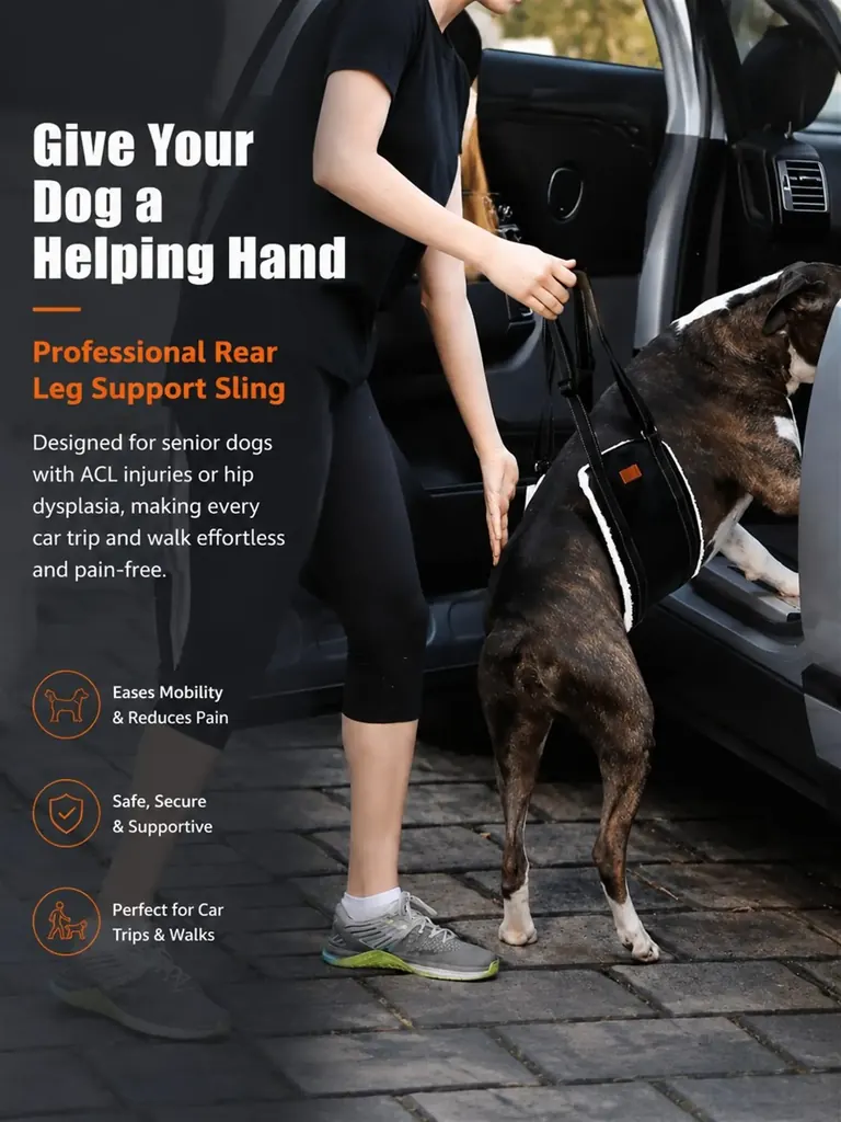 Custom Dog Sling For Back Legs Supplier