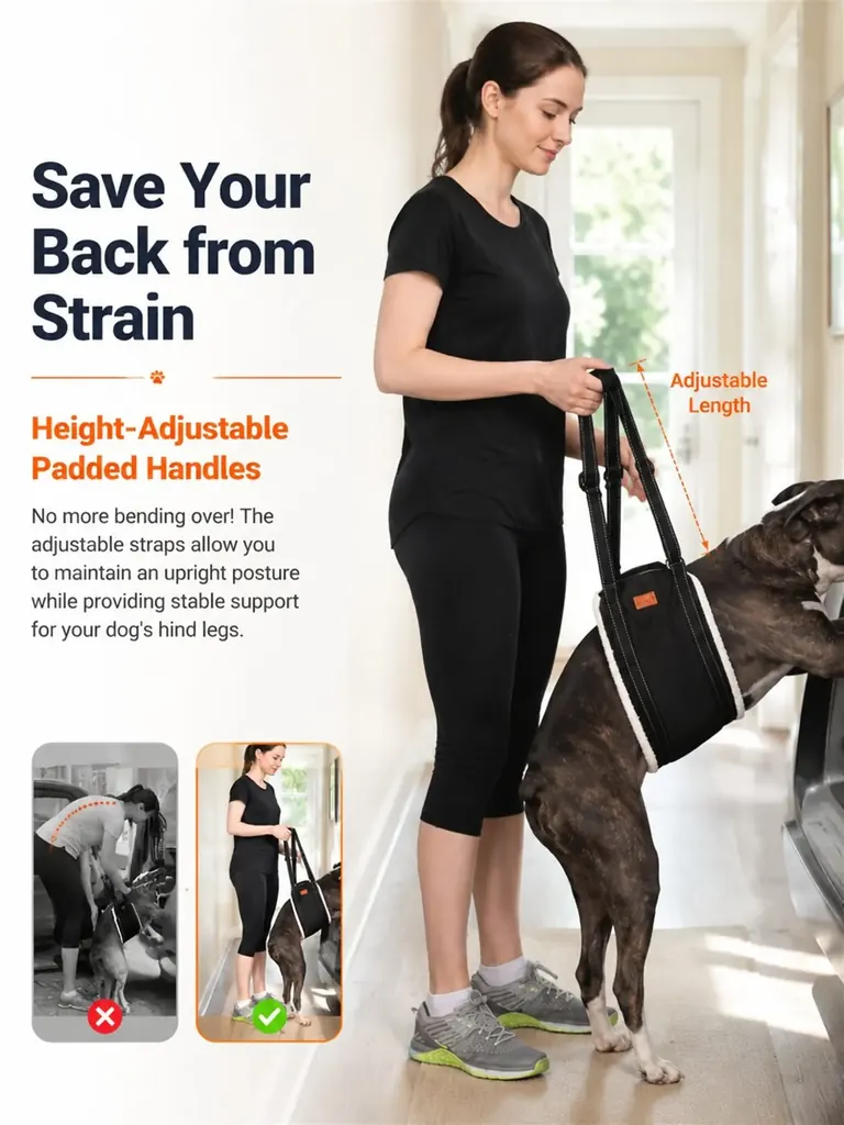 Custom Dog Sling For Back Legs Supplier