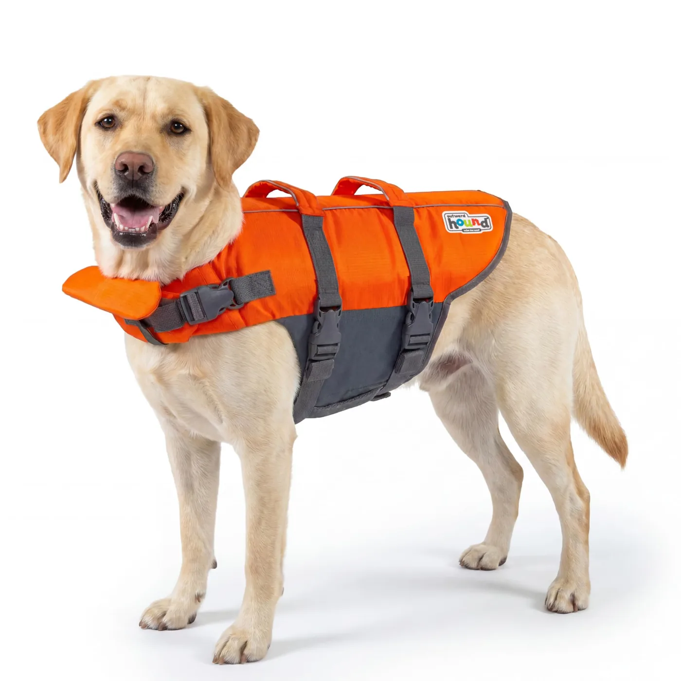 dog life jacket manufacturer