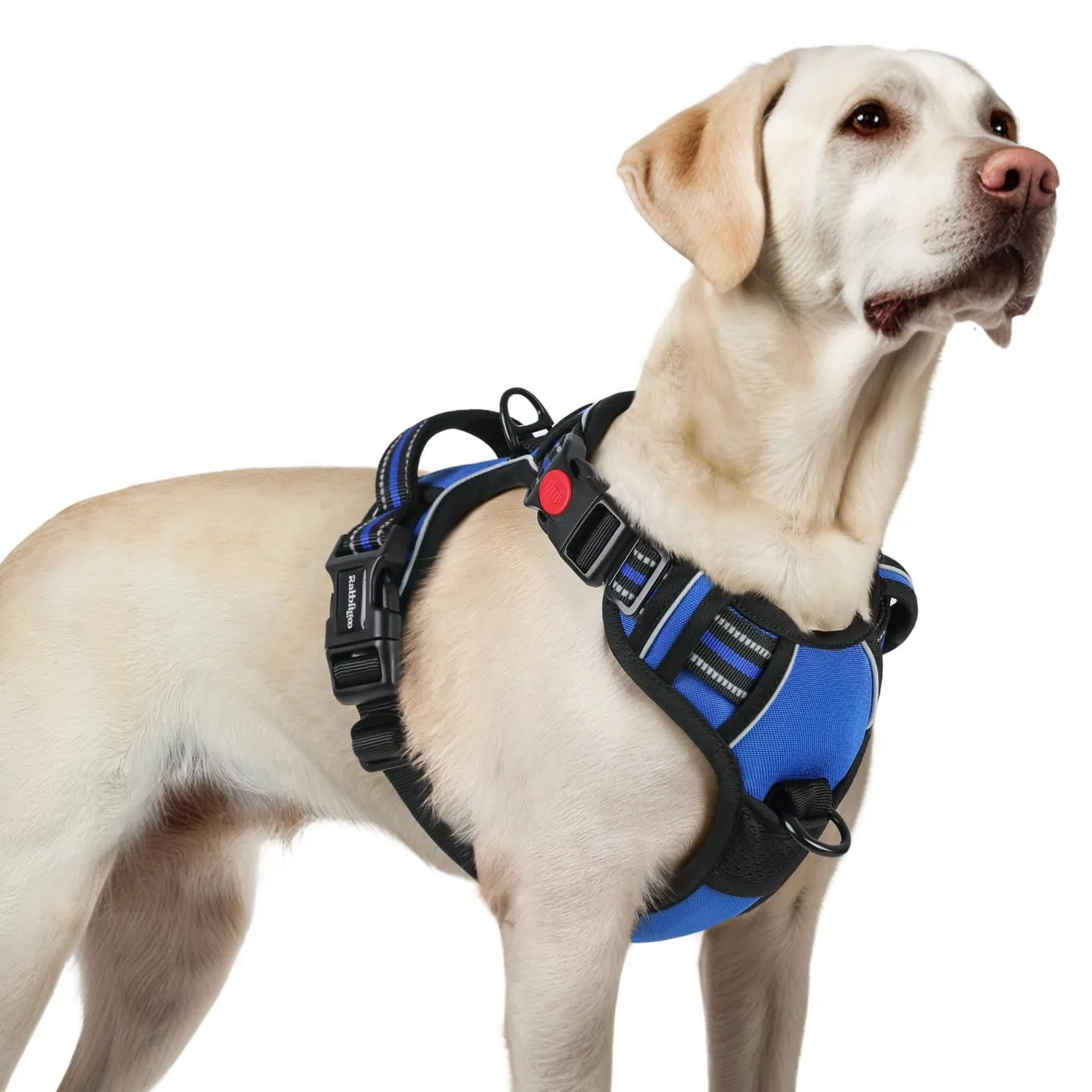 dog seat belt manufacturer