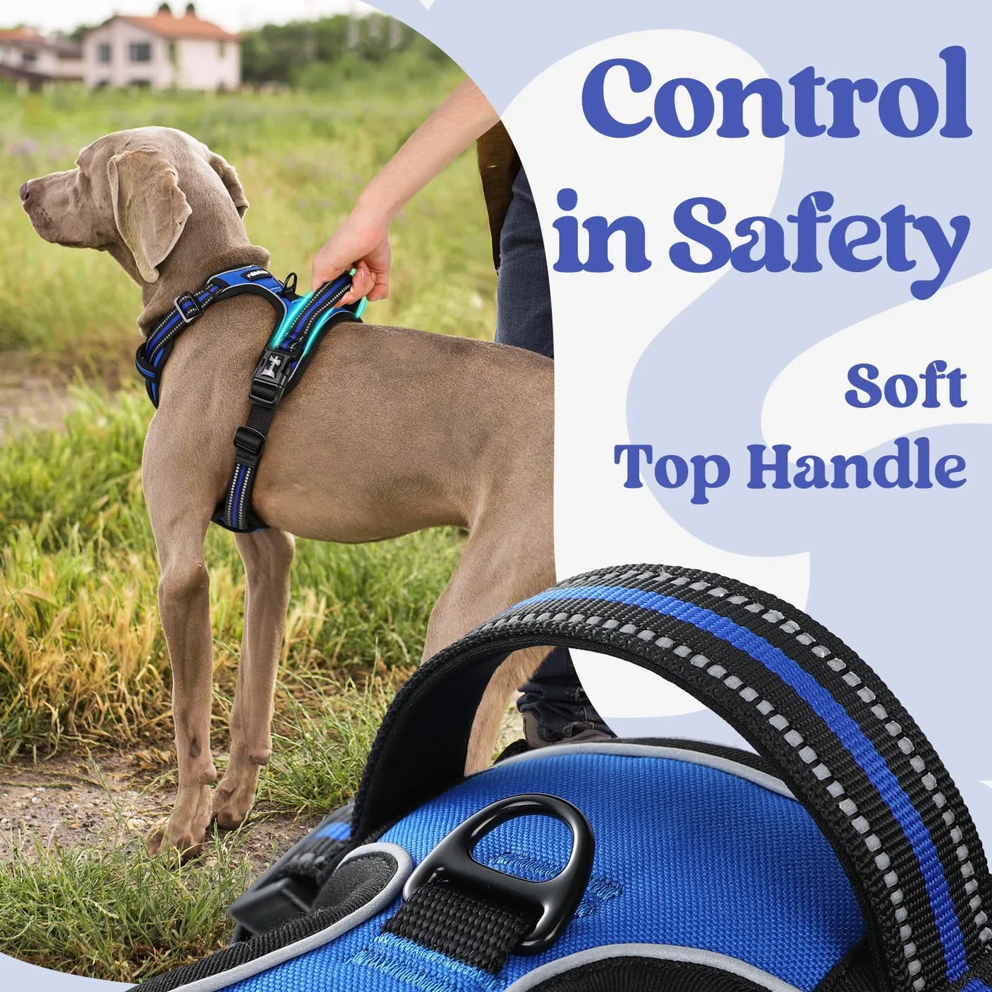 Reflective Dog Harness Manufacturer thumbnail 4