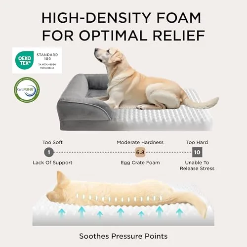 Fabricante de Camas Ortop&eacute;dicas para Perros miniatura 3
