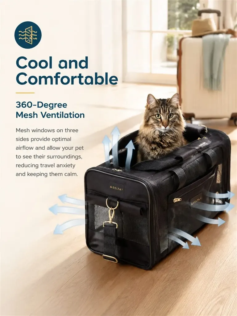 Custom Pet Carrier Factory