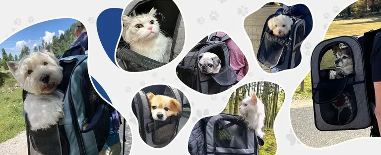 Pet Dog Cat Backpack Manufacturer