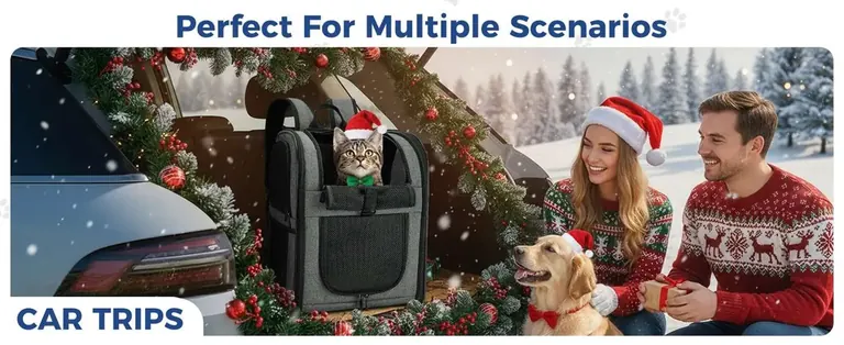 Pet Dog Cat Backpack Manufacturer