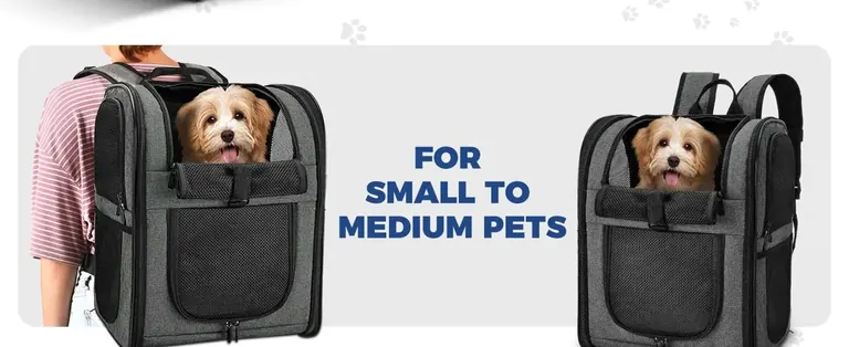 Pet Dog Cat Backpack Manufacturer