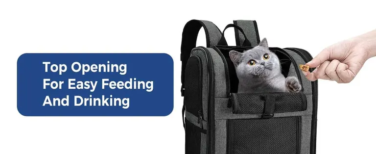 Pet Dog Cat Backpack Manufacturer