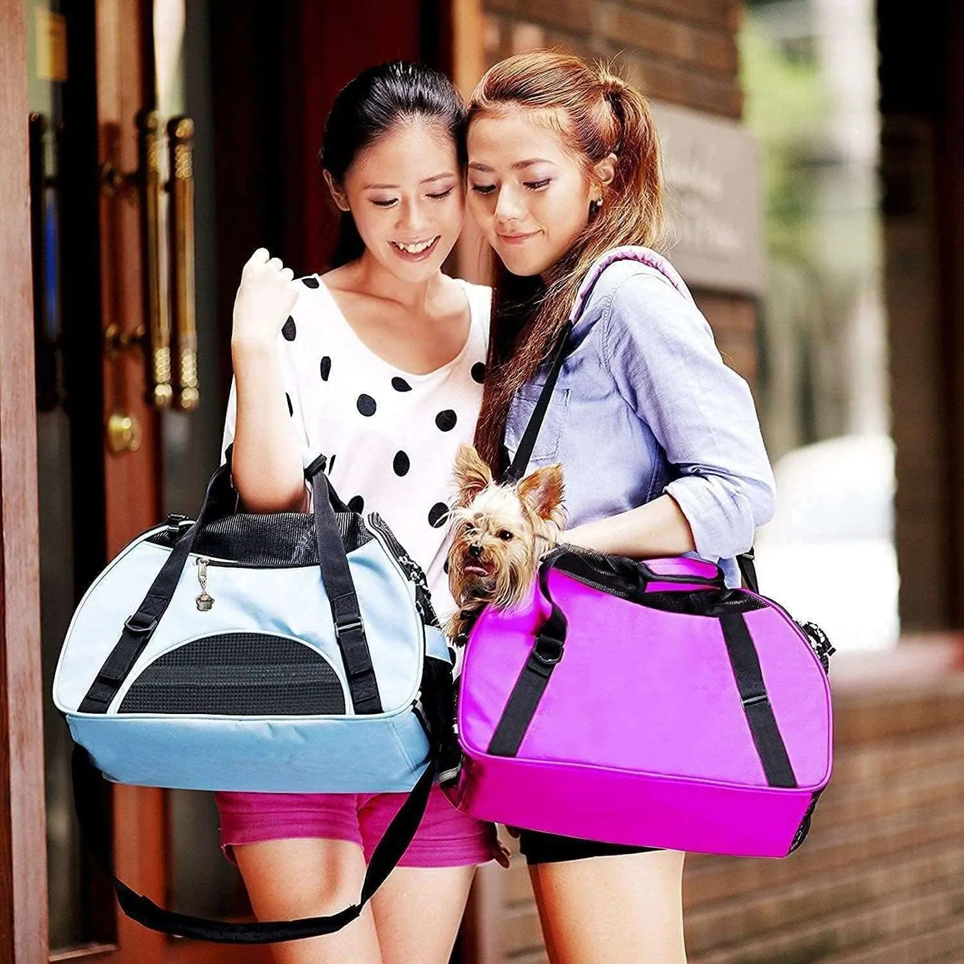 Custom Pet Travel Carrier Supplier thumbnail 4