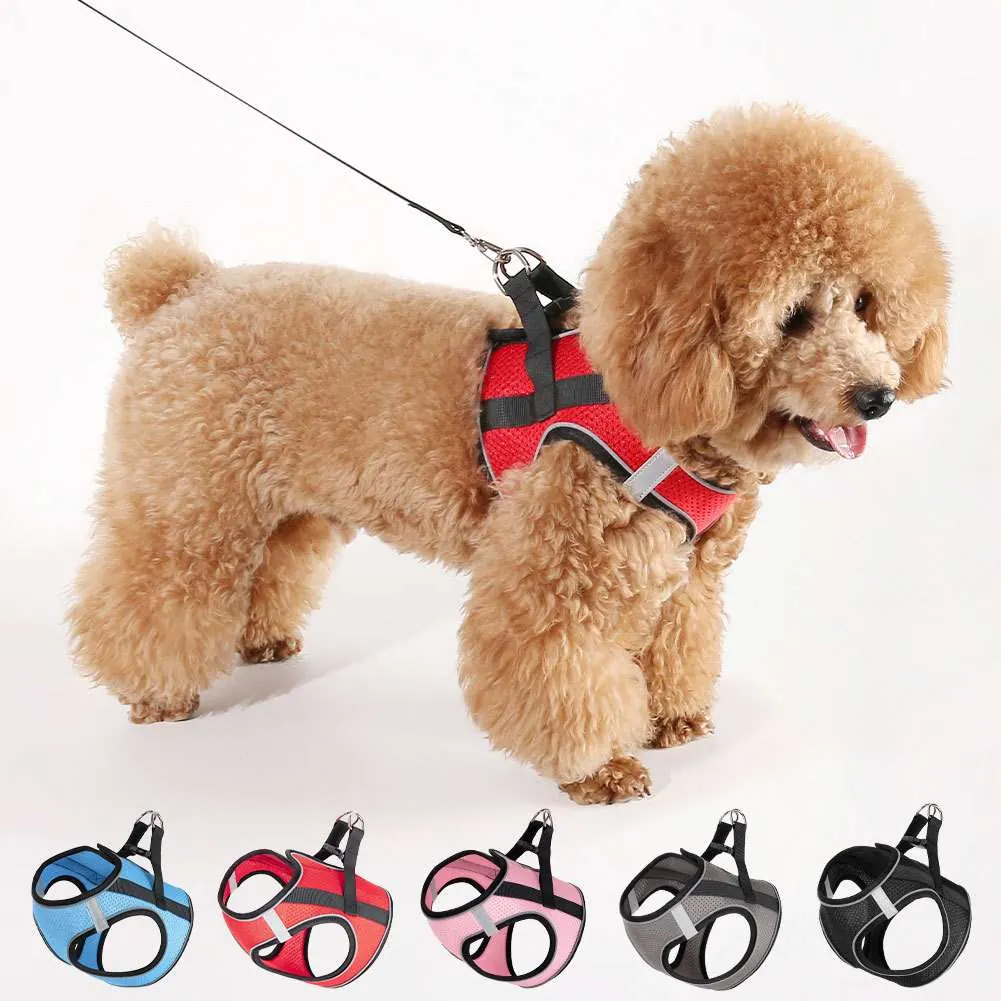 Pet Vest Manufacturer Factory
