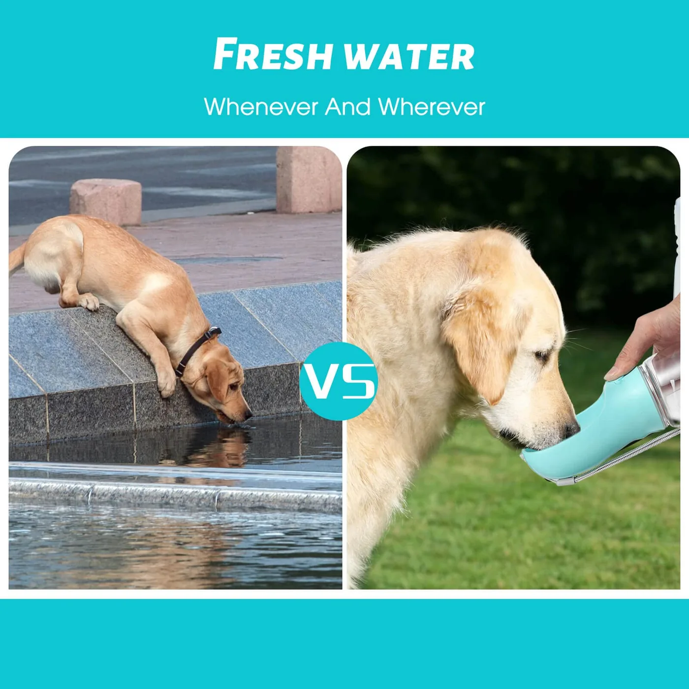 portable pet water bottle manufacturer thumbnail 5