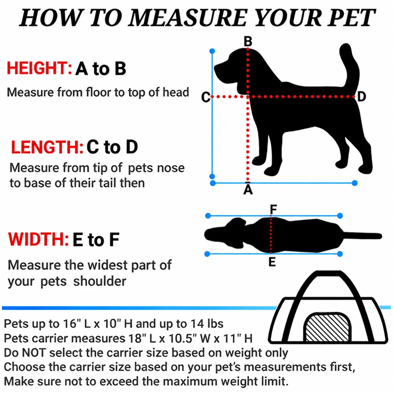 rPET recycled pet carrier manufacturer thumbnail 2