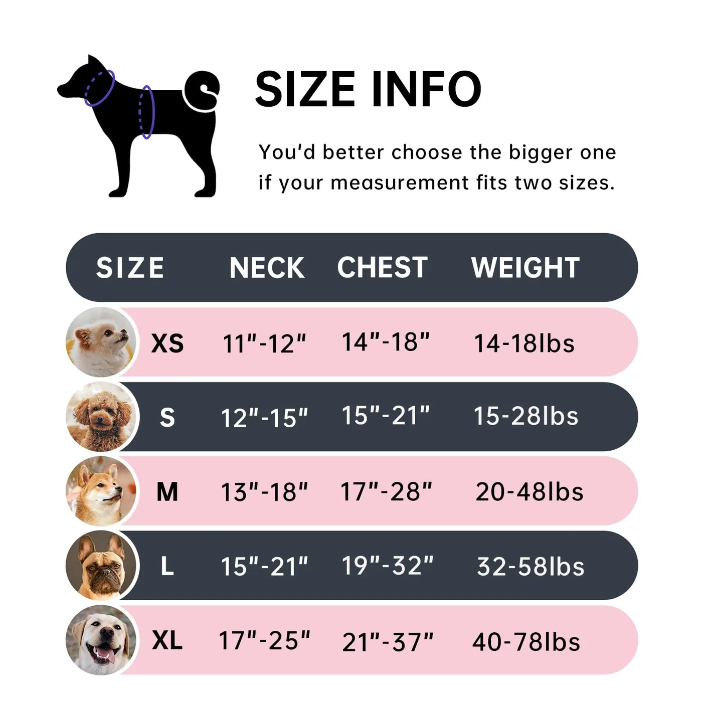 small dog harness kit manufacturer thumbnail 2