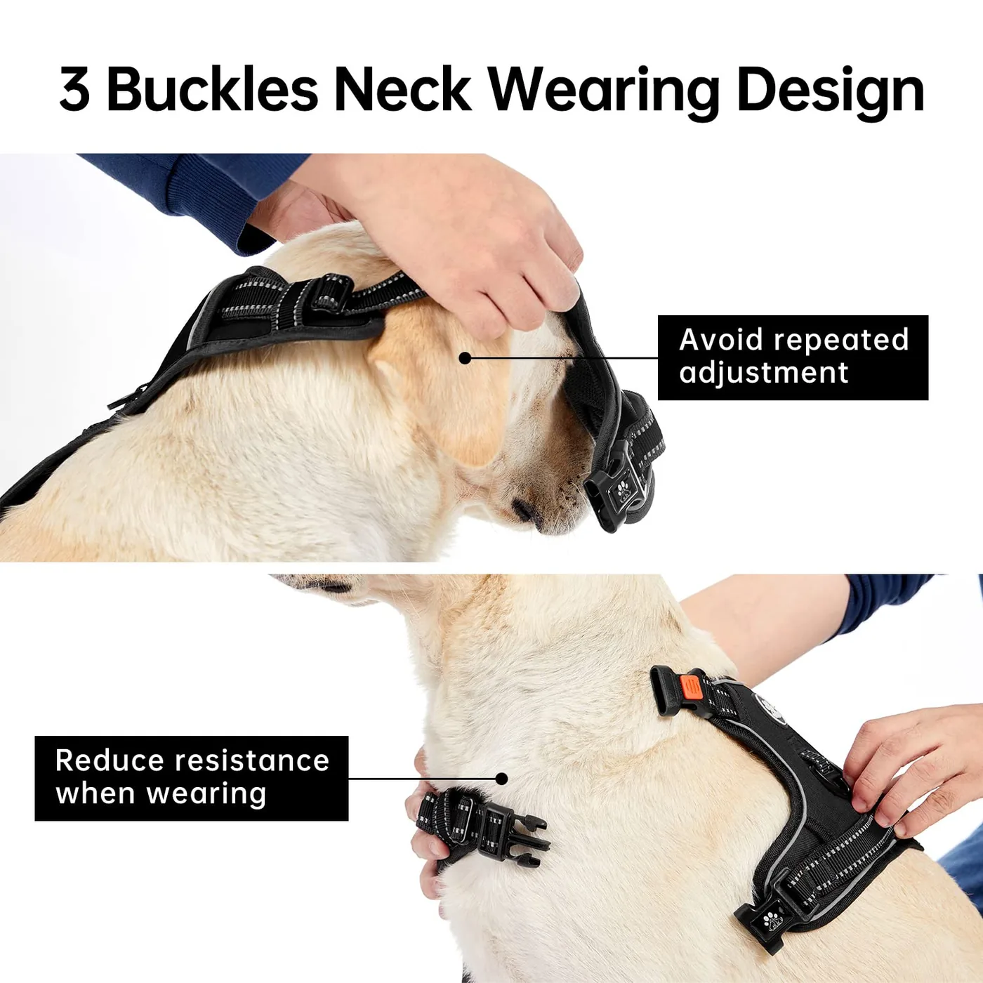 small dog harness kit manufacturer thumbnail 4