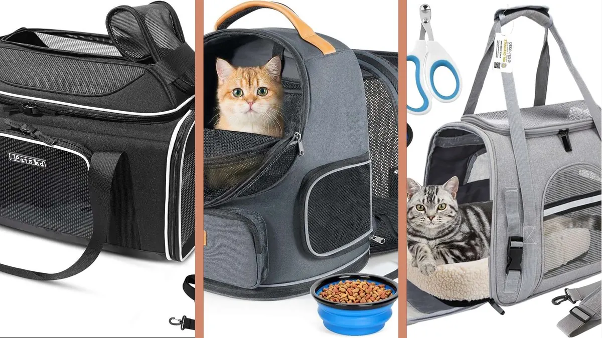 Ejemplos de tendencias de bolsos para mascotas con transportines expandibles y bolsos de viaje